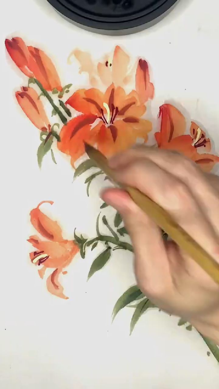 国画百合花的画法
