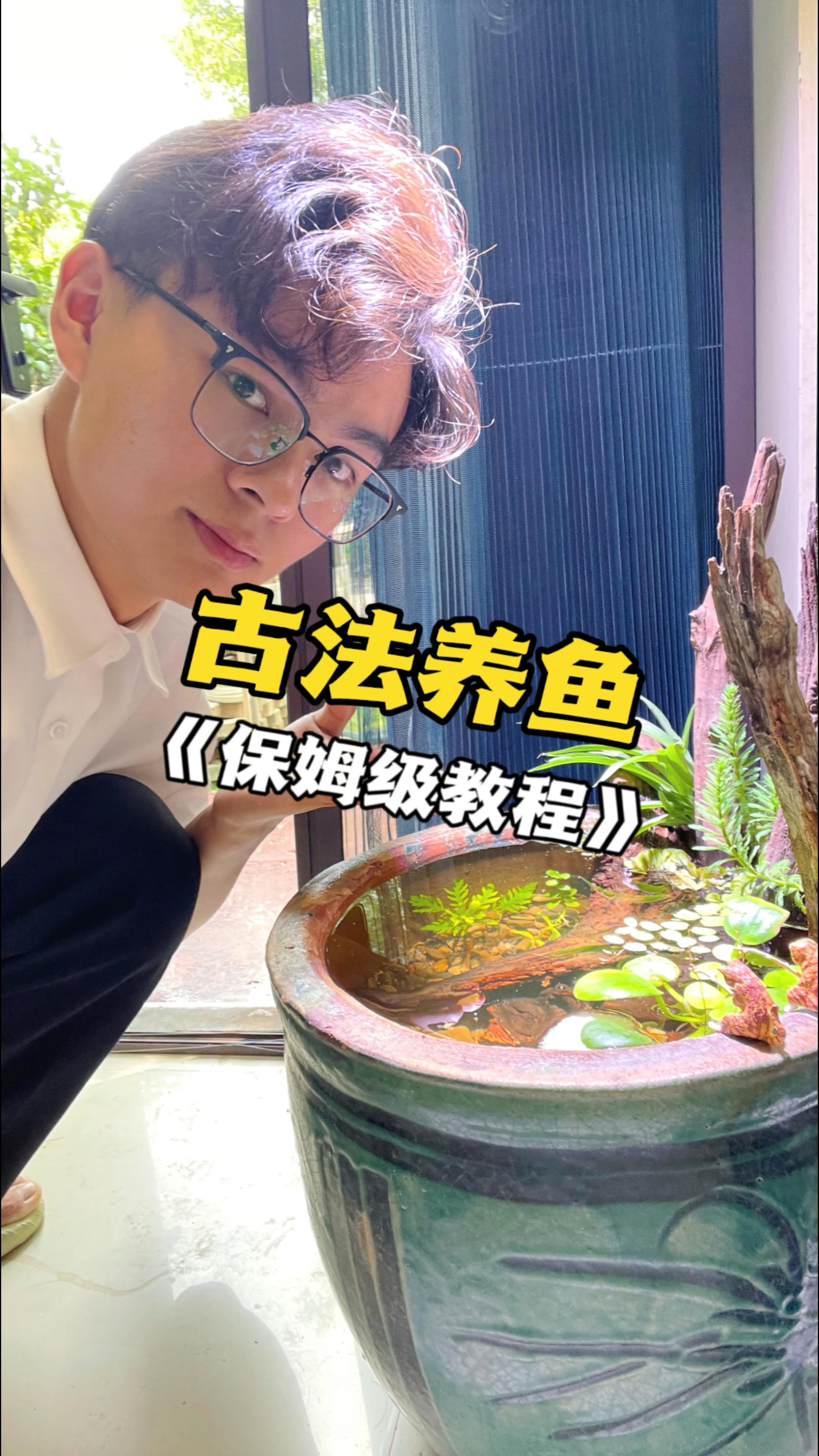 普通水缸秒变古法养鱼缸,1分钟保姆级教程。