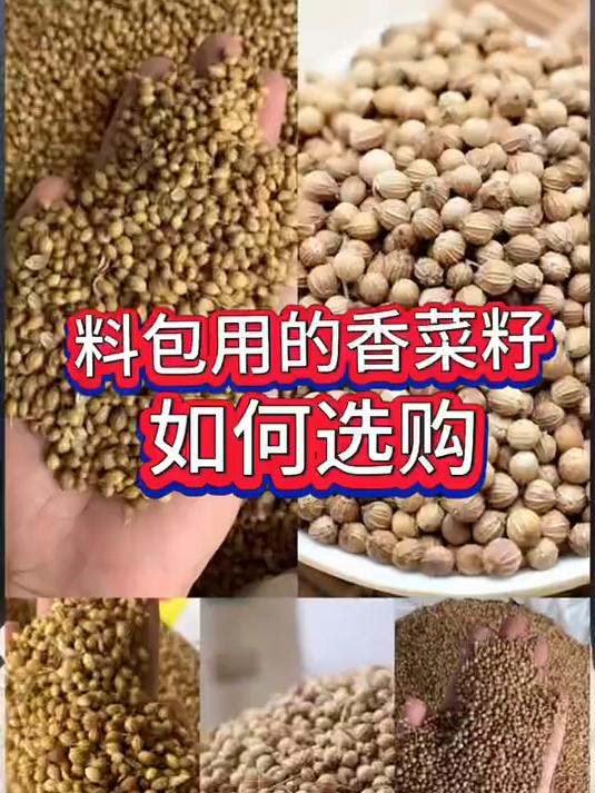 料包用的香菜籽你买对了吗