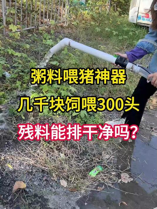 粥料喂猪神器,几千块饲喂300头,残料能排干净吗?