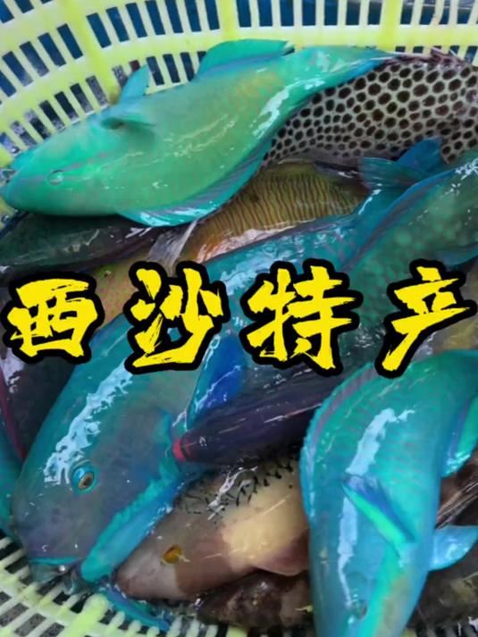 给大家分享一下来自西沙群岛的野生特产