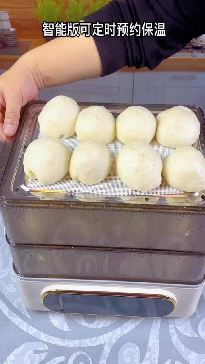 金正多用途锅电蒸锅