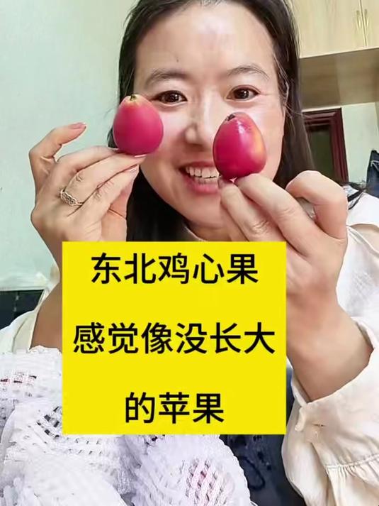 想给家人找无添加的健康小零食?这款鸡心果一定要试试!