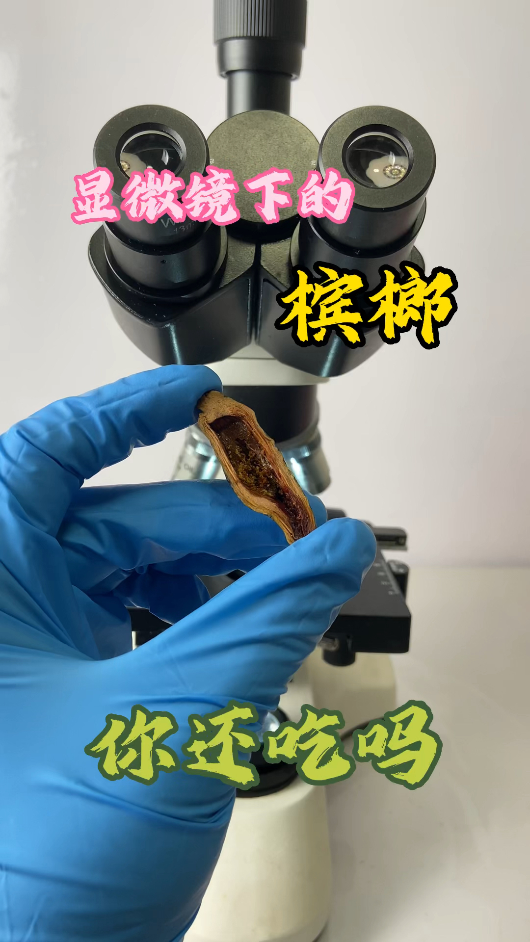 显微镜下的槟榔看看是什么样子的