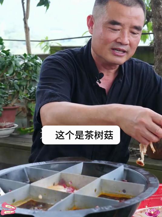 干锅茶树菇,谁吃谁说好,妥妥下饭菜 徐州 家常菜