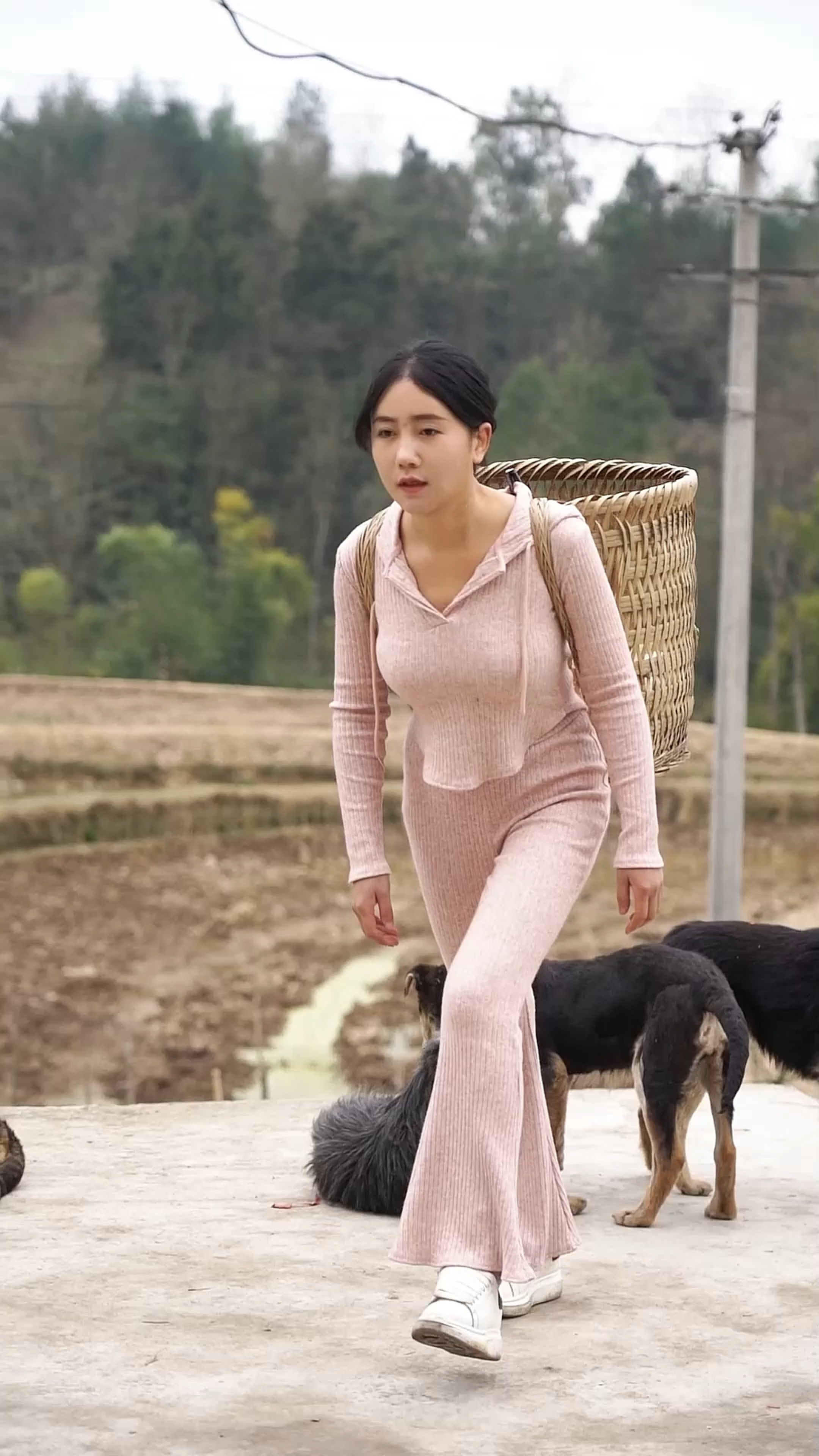 生活不简单,尽量简单过,简单的一日三餐,萝卜闷饭。