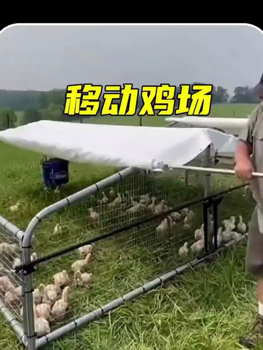 移动鸡场
