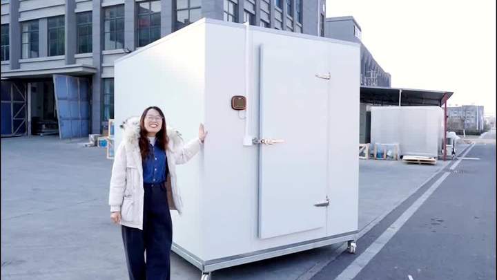 海鲜肉类储存移动冷冻库,一台只要万元出头,支持全国联保