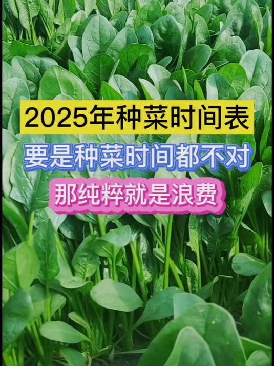 2025年种菜时间表正确的种菜时间非常重要