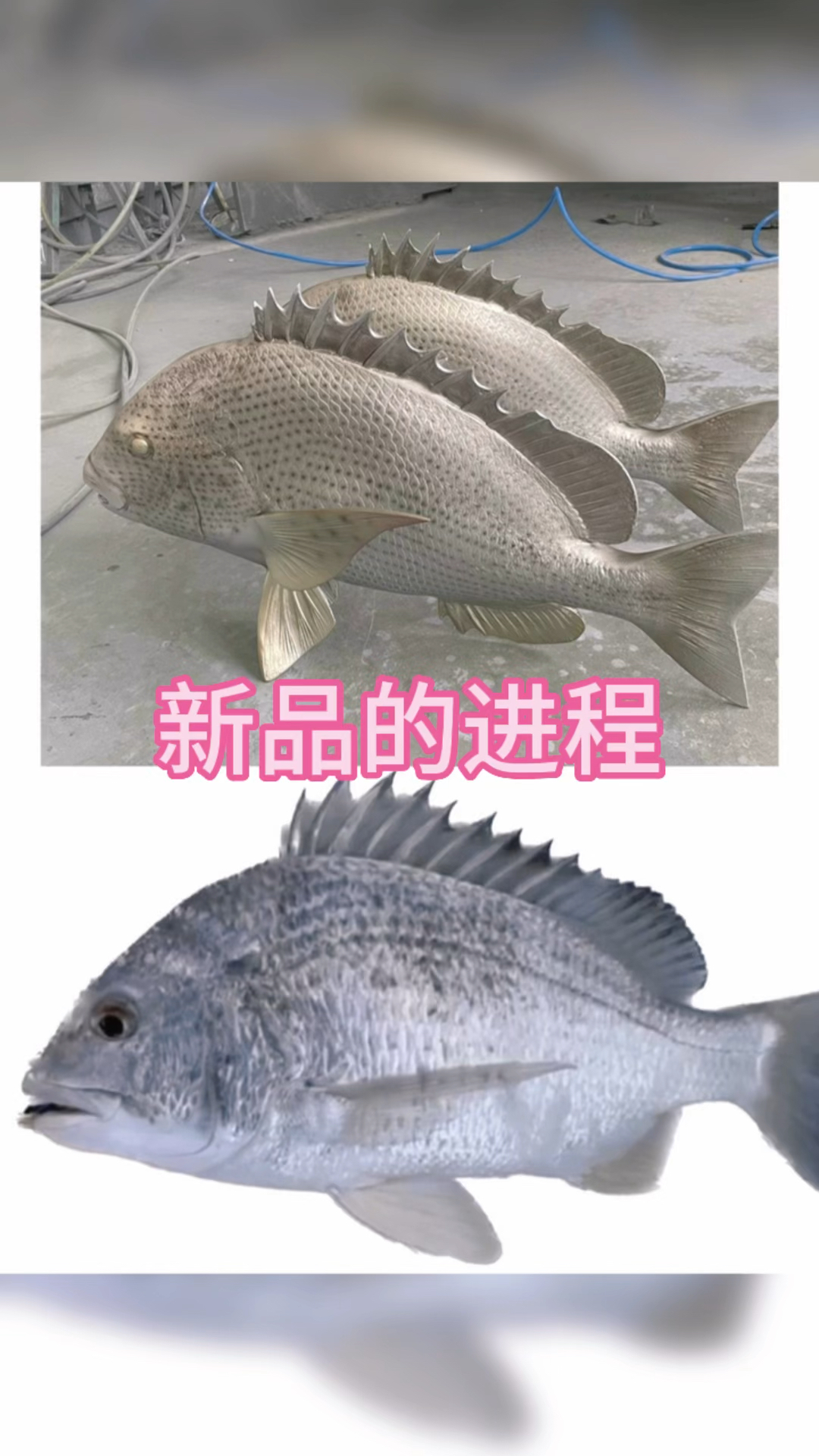 鱼模型工艺品摆件