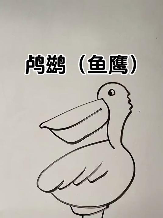 简笔画教程——鸬鹚(鱼鹰)画