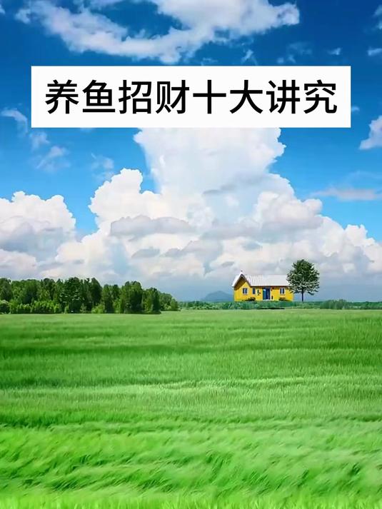 养鱼招财十大讲究