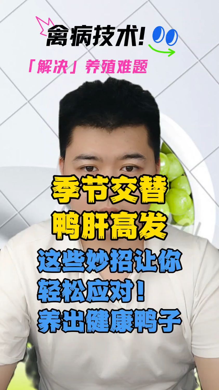 鸭子鸭肝怎么引起的鸭子得了鸭肝怎么办小鸭得鸭肝怎么办鸭肝病是怎么引起的