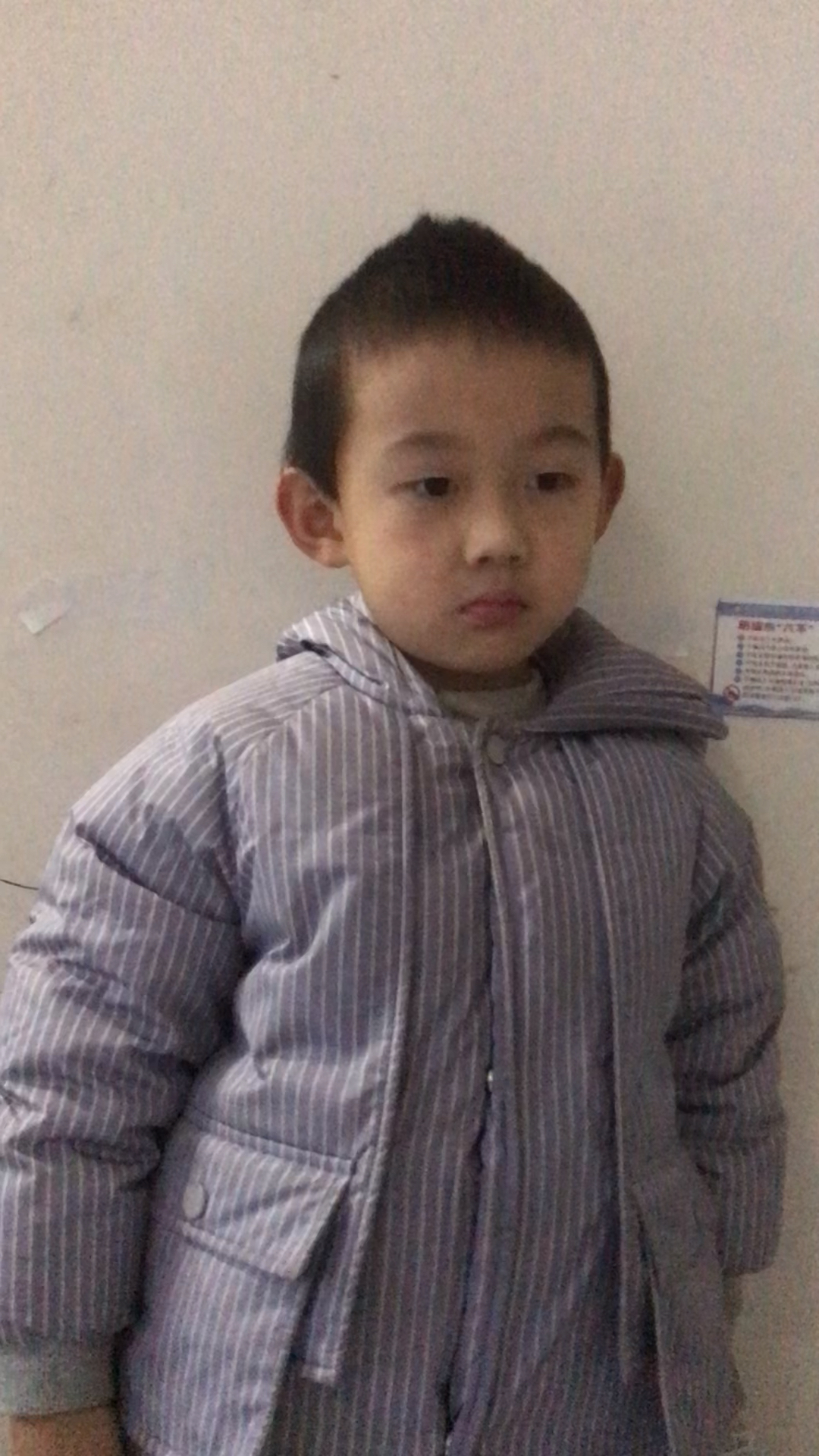 娃娃学古诗《蝶恋花·春景》宋·苏轼