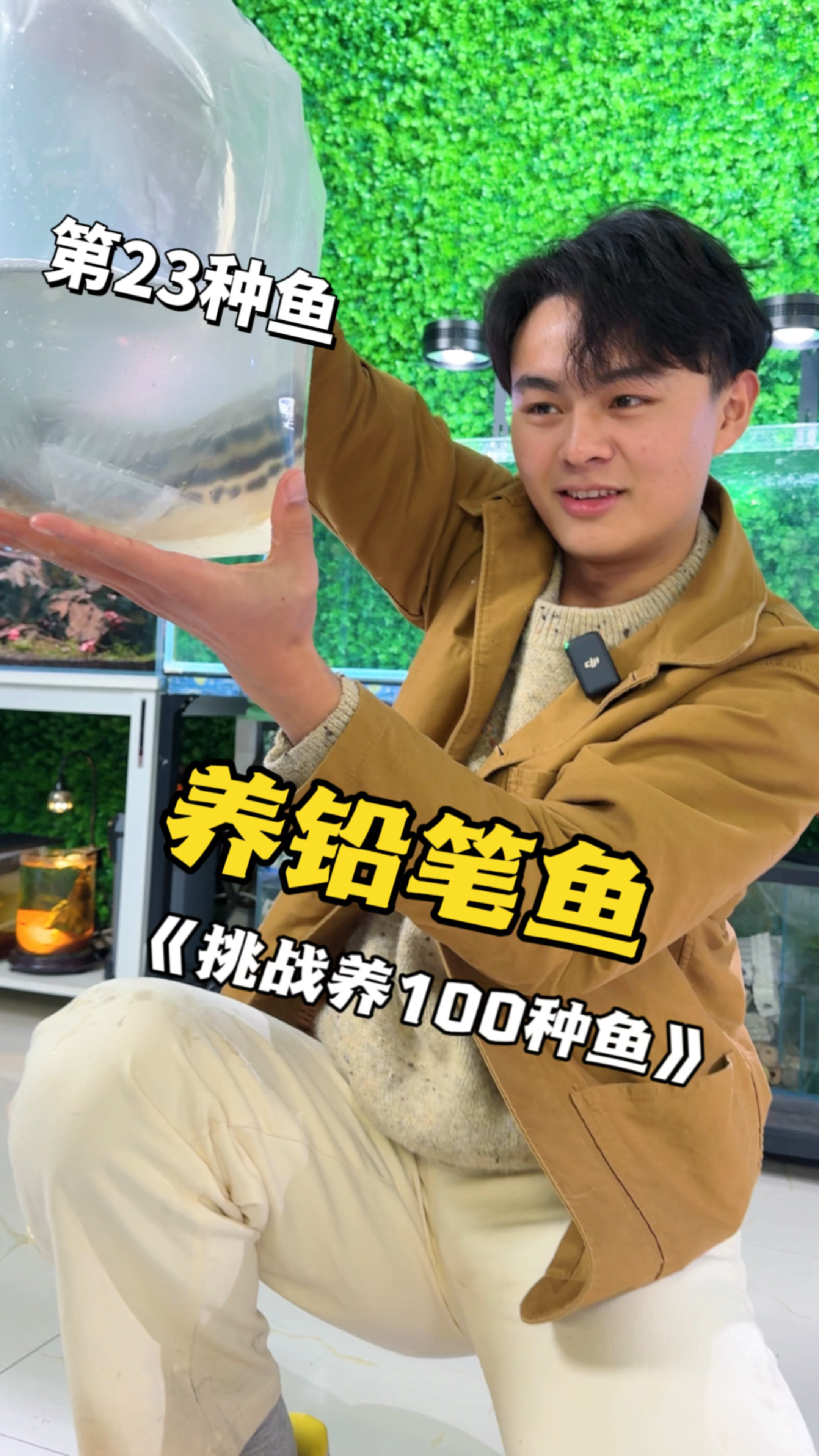 据说铅笔鱼长大以后全身通体碧蓝,长得像艺术品一样