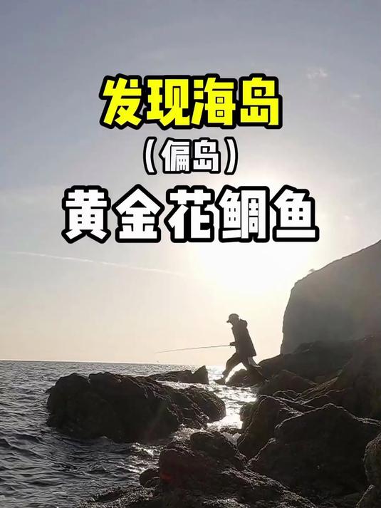 发现海岛(偏岛)黄金花鲖鱼