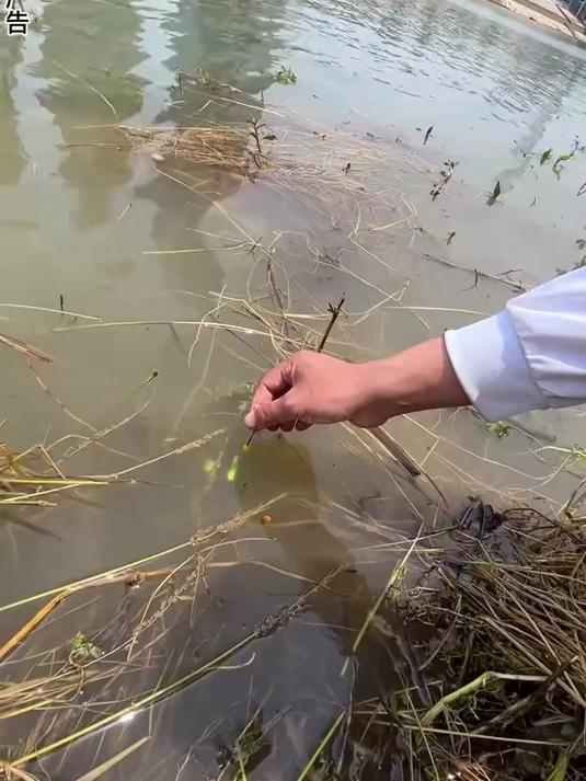 钓鱼人必备!海竿抛投神器水溶网,告别鱼钩缠绕难题