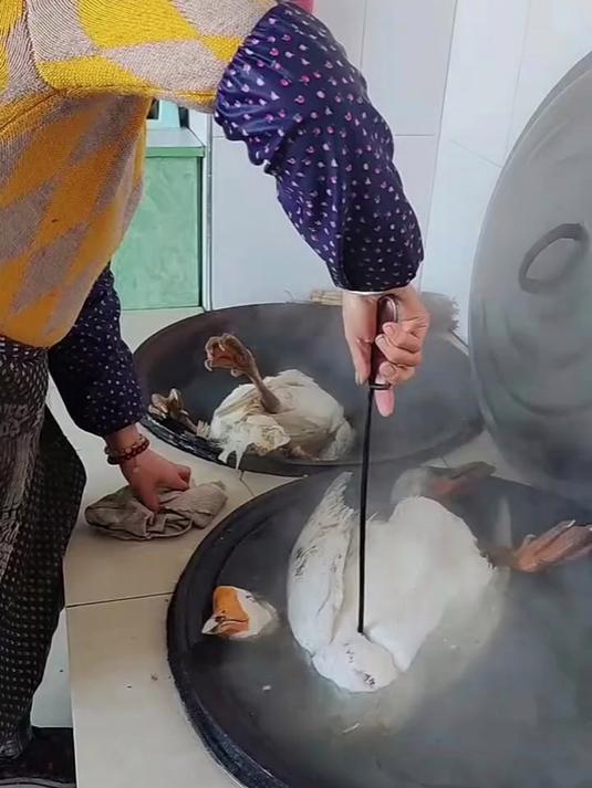 冬天来了,大鹅必须得安排上