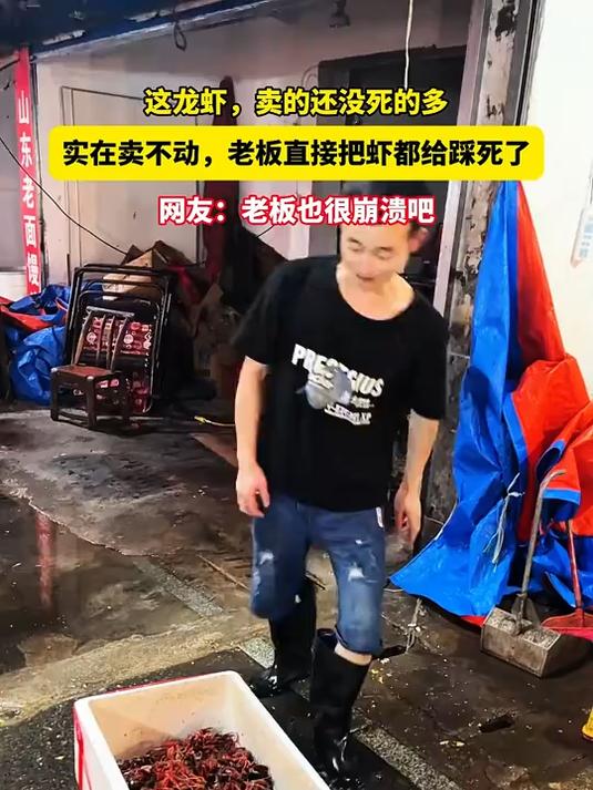 这龙虾,卖的还没死的多,实在卖不动,老板直接把虾都给踩死了
