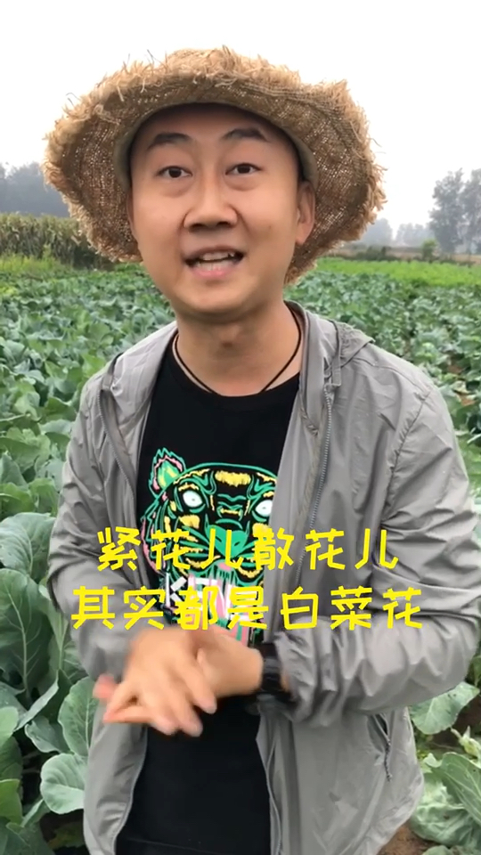 有机花菜真的“有机”吗