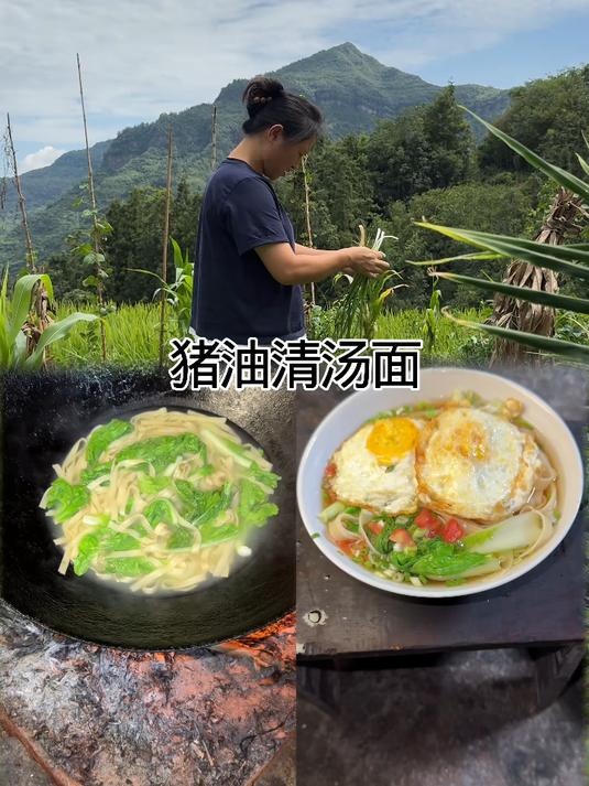 地里的小白菜都快坏完了，今天又扯一点煮一个清汤猪油面条吃
