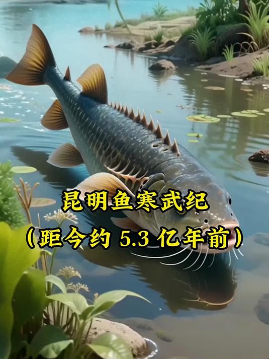 小丑鱼如何一步步演化？全过程揭秘