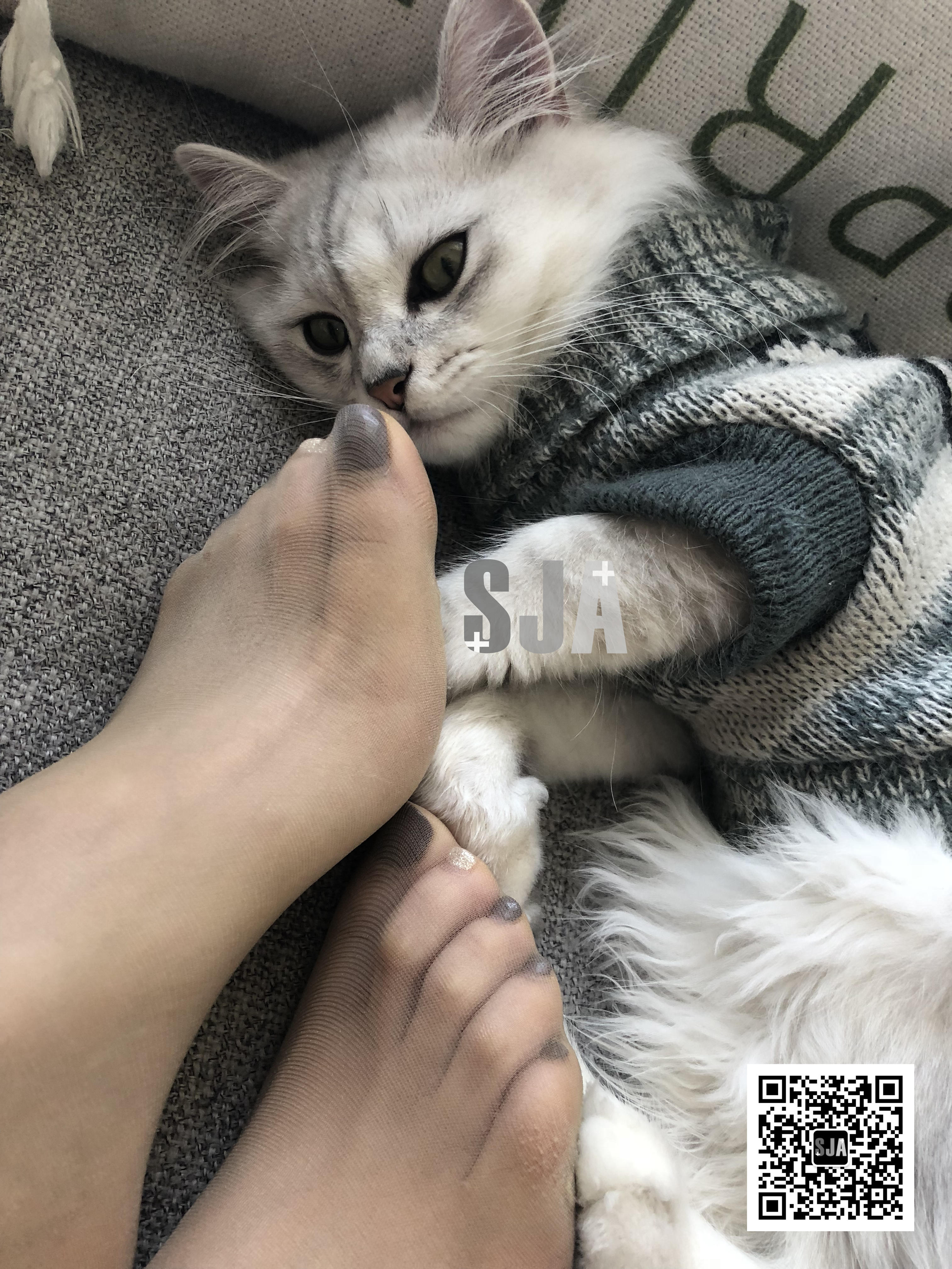 图片[41]-[SJA佳爷]闺蜜视角 NO.013 喵 [60P+81M]-六色网