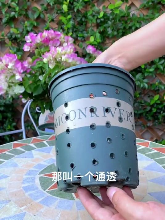 种菜养花就是这么简单，不用买盆，各种瓶子改造完就是完美花盆！