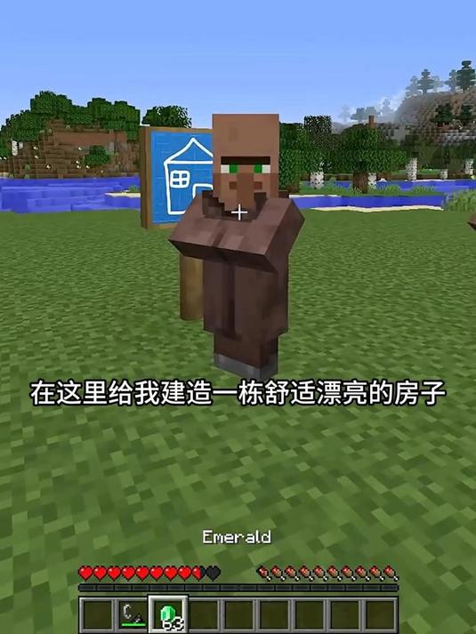 善心小马给狗狗建造新家
