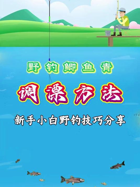 新手也能学会！野钓鲫鱼鲤鱼青鱼的万能调漂法