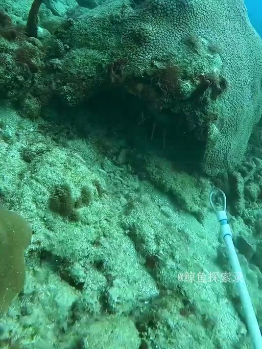 户外捕鱼:深海捕虾猎人用套索抓捕符合标准的龙虾