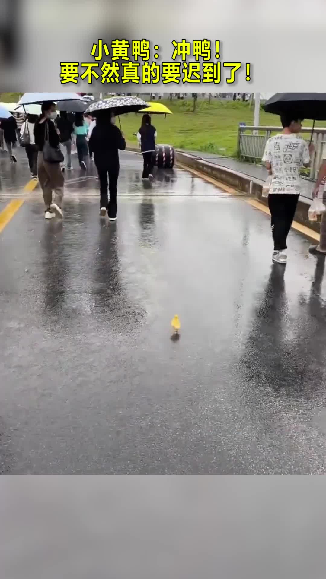 小黄鸭:冲鸭!要不然真的要迟到了!