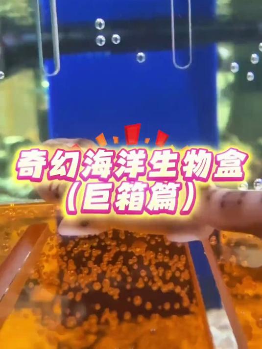 养鲨鱼真的头都大了！还是加一点新生物吧！
