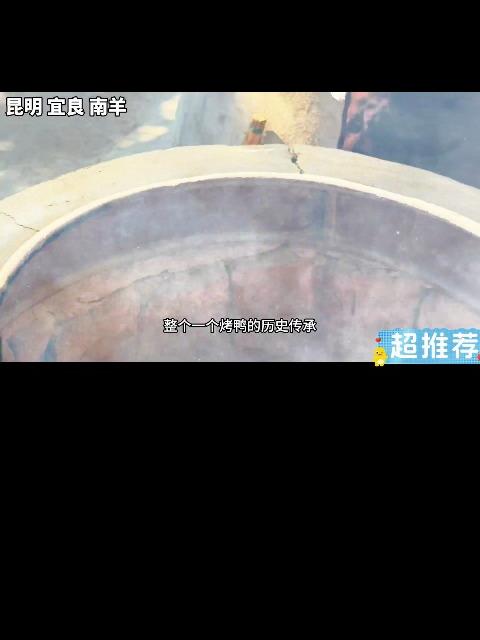 云南昆明宜良南羊松针土炉烤鸭选用小麻鸭只卖38元一只，太香了2