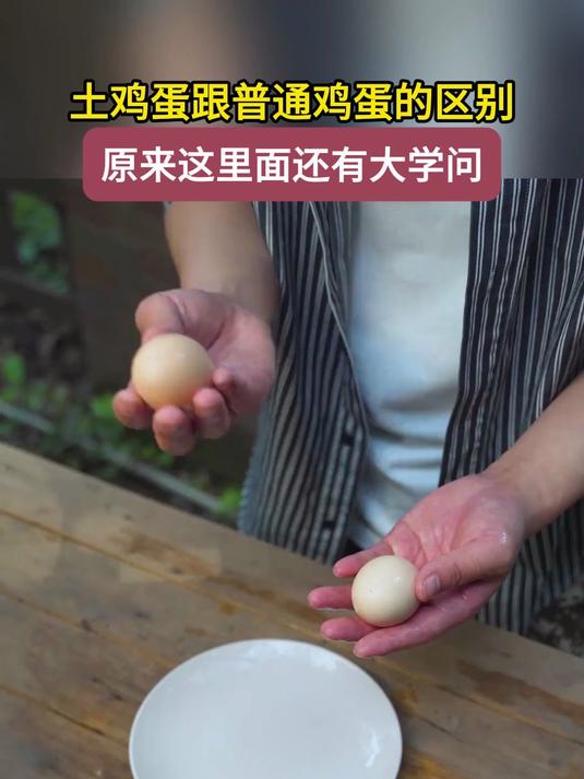 土鸡蛋跟普通鸡蛋的区别原来这里面还有大学问#挑选新鲜鸡蛋的3个方法#