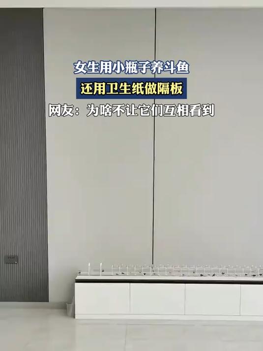 女生用小瓶子养斗鱼,还用卫生纸做隔板