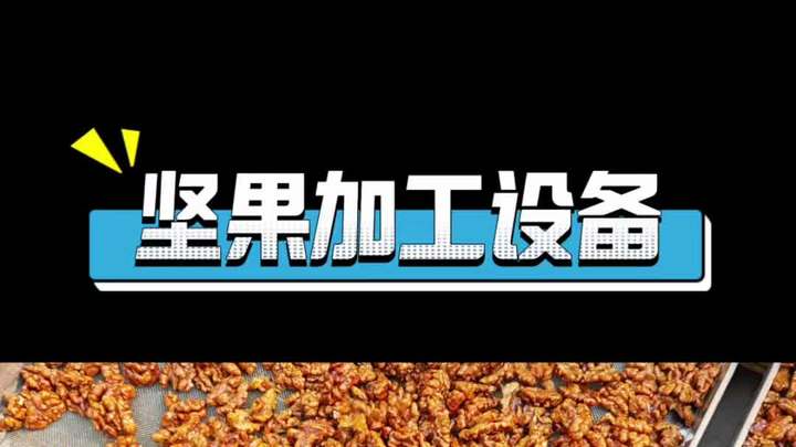 坚果加工设备,油炸炒锅一体机