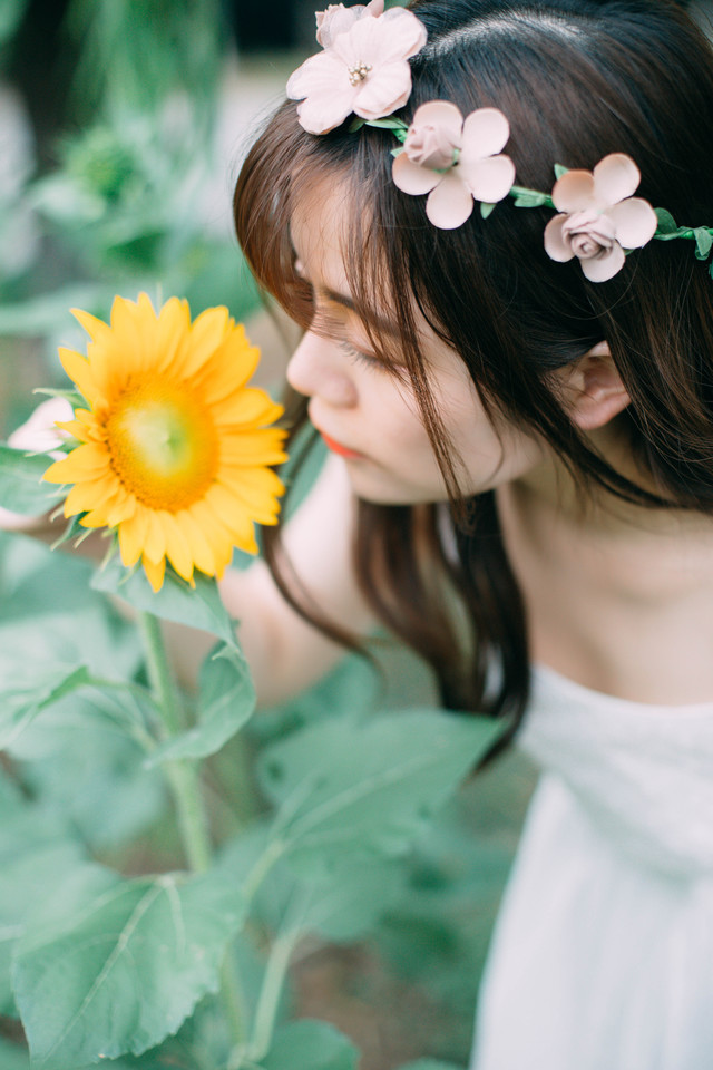奶牛花与少女-六色网