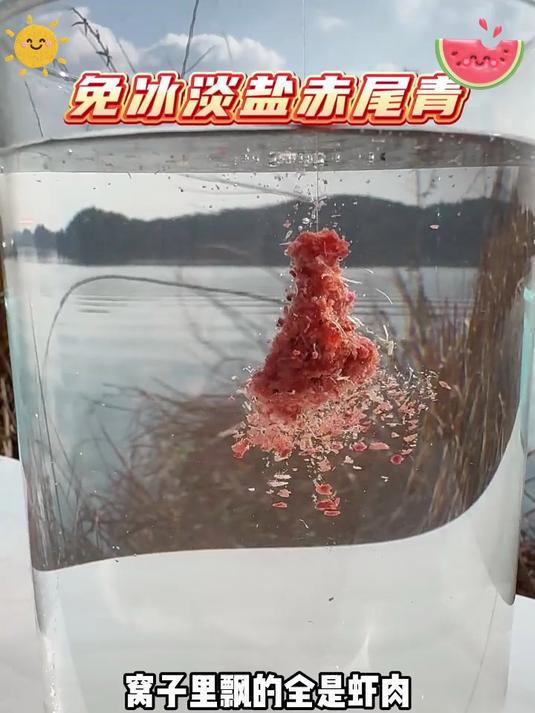 新手钓青不踩坑,首选这款赤尾青鱼料