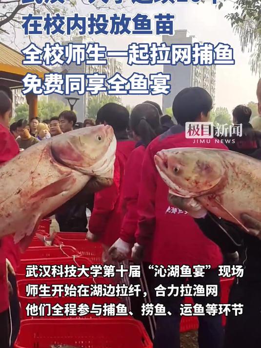 武汉一大学连续10年在校内投放鱼苗,全校师生一起拉网捕鱼免费同享全鱼宴(独家内容)