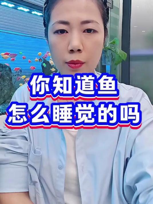 你知道鱼怎么睡觉的吗