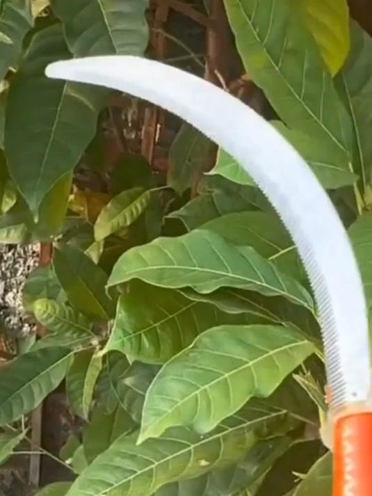 不锈钢小锯镰 农用除草割韭菜 实用锋利好工具