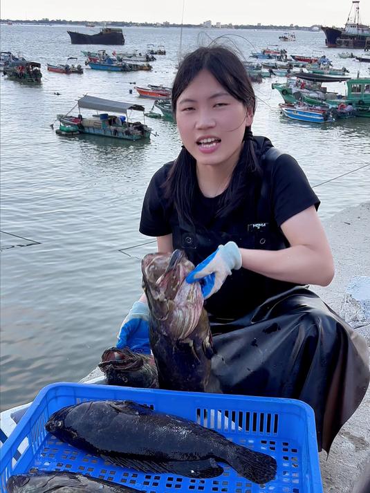 新鲜上岸的湛江龙胆石斑，你确定不来尝尝吗？#石斑鱼 #海鲜水产