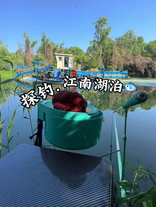 探寻江南湖泊，开启钓鱼之旅
