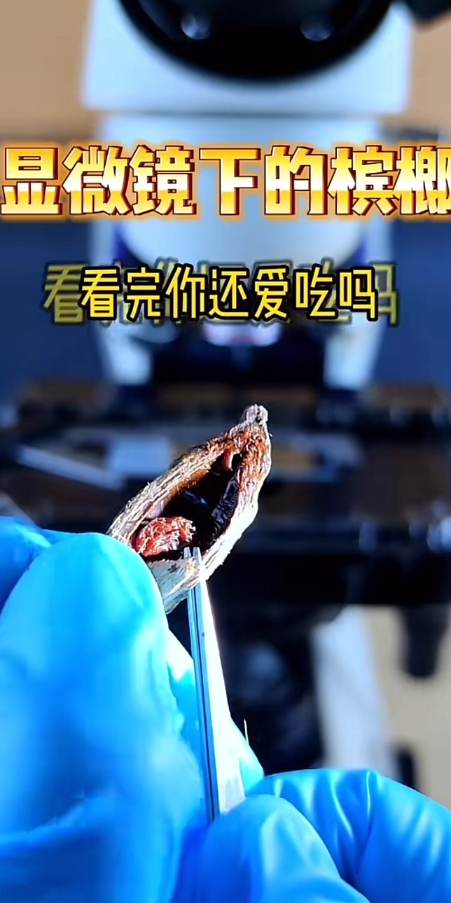 显微镜下的槟榔 珍爱生命远离槟榔