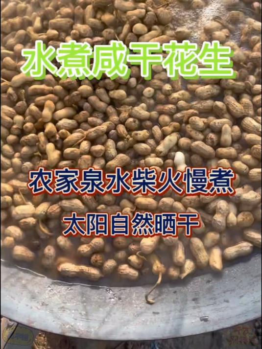 挑选好再打包发货农家自晒盐水花生