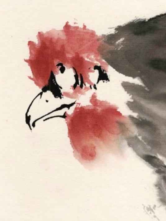 写意母鸡画法#写意画# #花鸟画#