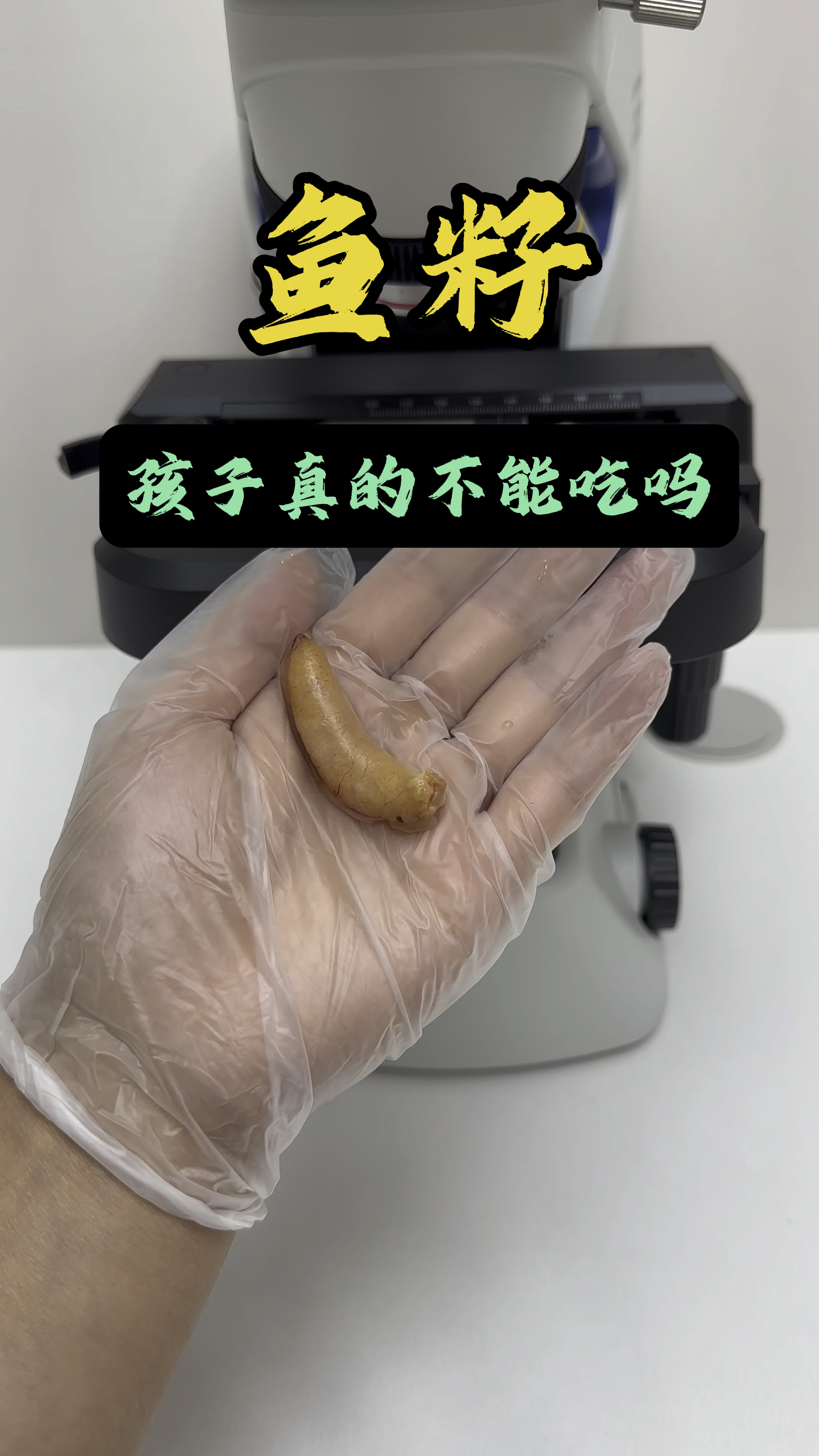 鱼籽-孩子真的不能吃吗?