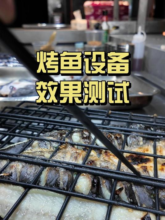 烤鱼炉厂家:日烤900条烤鱼设备