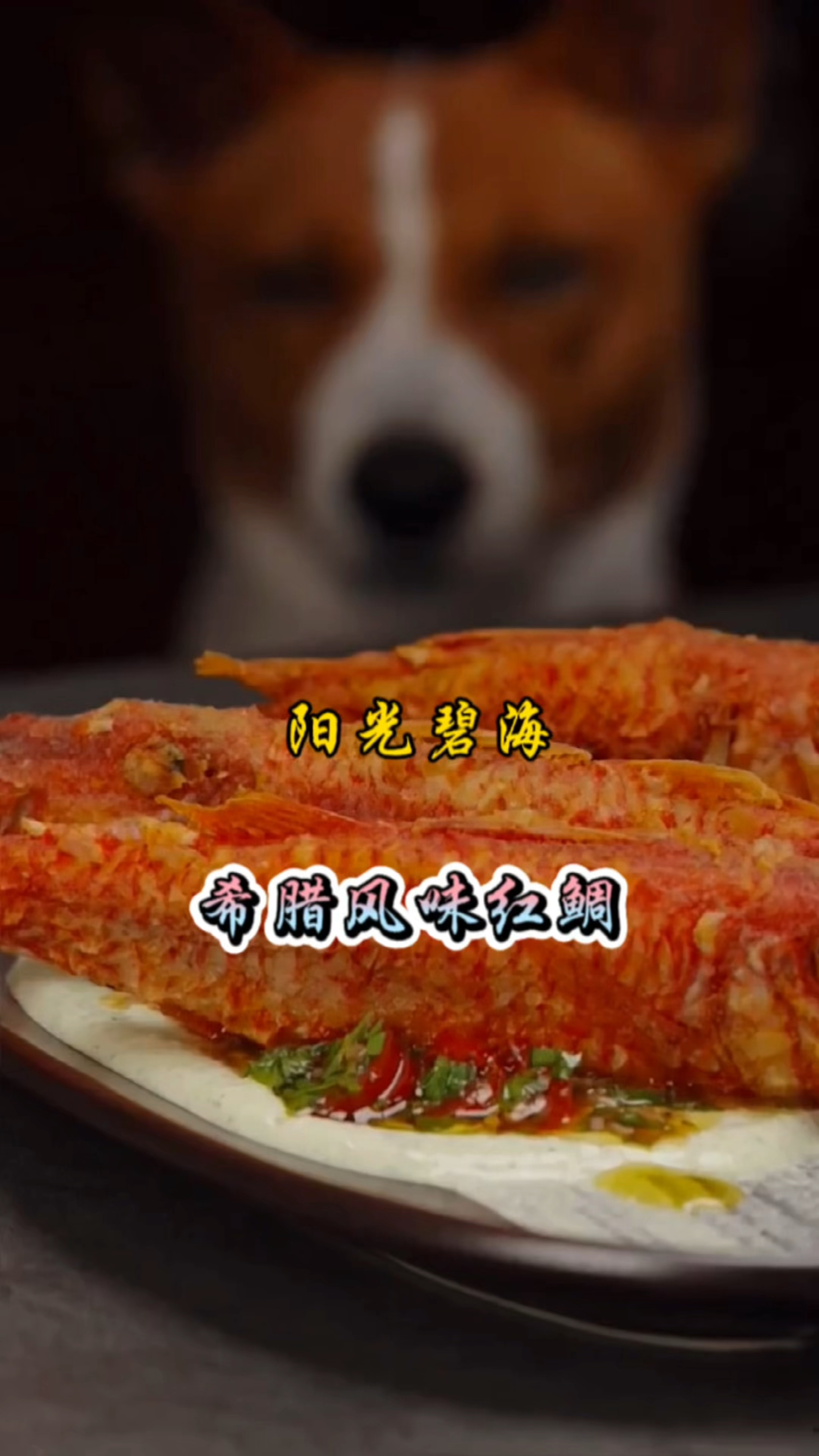 从零开始:制作完美红鲷鱼,每一步都要看!